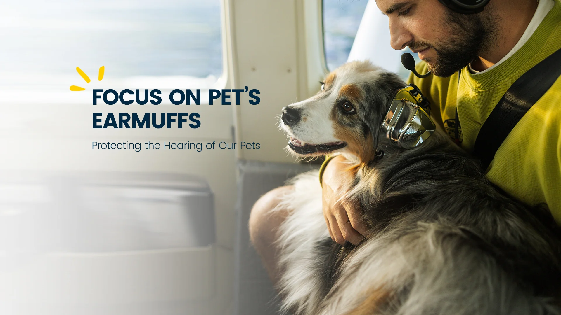 犬用イヤーマフ 通販