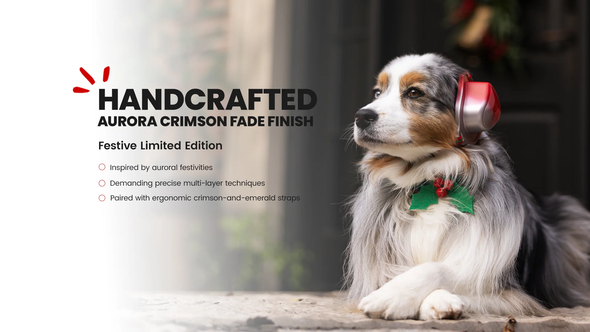 犬用イヤーマフ 通販